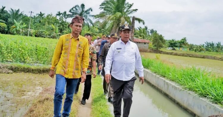 Tanggap krisis irigasi, bupati simalungun kunjungi huta bayu raja Bupati simalungun kunjungi huta bayu raja