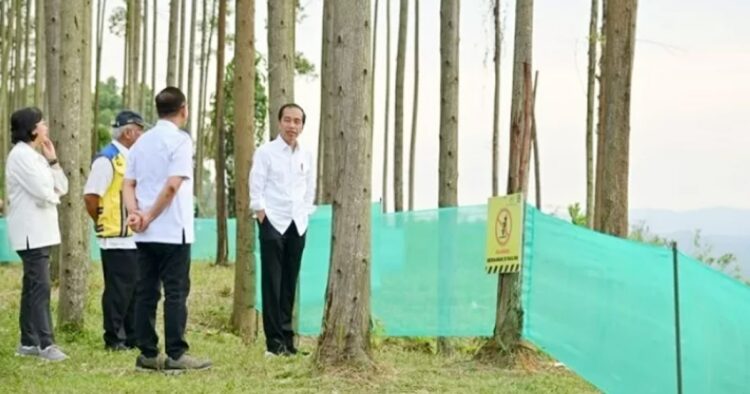 Presiden jokowi dan sri mulyani tinjau kemajuan ikn di kalimantan timur Presiden jokowi dan menteri keuangan sri mulyani bersama kabinet indonesia maju tinjau perkembangan fisik pembangunan ikn. Dari infrastruktur dasar hingga istana presiden, proyek strategis nasional ini menunjukkan progres positif, sejalan dengan visi pemindahan ibu kota ke kalimantan.