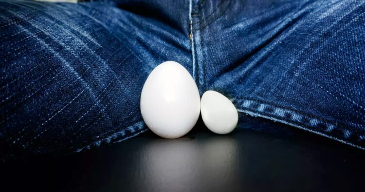 Ouch! "telur kembar" pria ini pindah ke perut akibat kecelakaan Kecelakaan motor langka sebabkan "telur kembar" atau testis pria terdislokasi ke perut. Medis segera tangani, 6 bulan kemudian fungsi kembali normal.