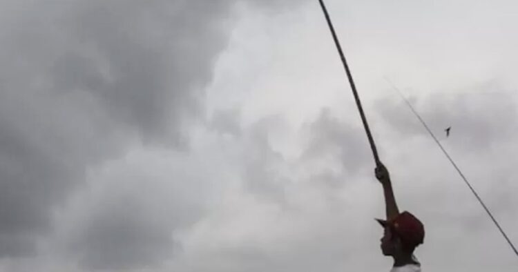 Rahasia menarik bocah pangandaran saat beraksi memancing burung walet Rudi, siswa sd berusia 12 tahun, memukau masyarakat pangandaran dengan keahliannya memancing burung walet. Dengan ilmu yang diturunkan oleh kakeknya, rudi berhasil mengumpulkan sarang walet yang bernilai tinggi, sekaligus menginspirasi banyak warga sekitar.